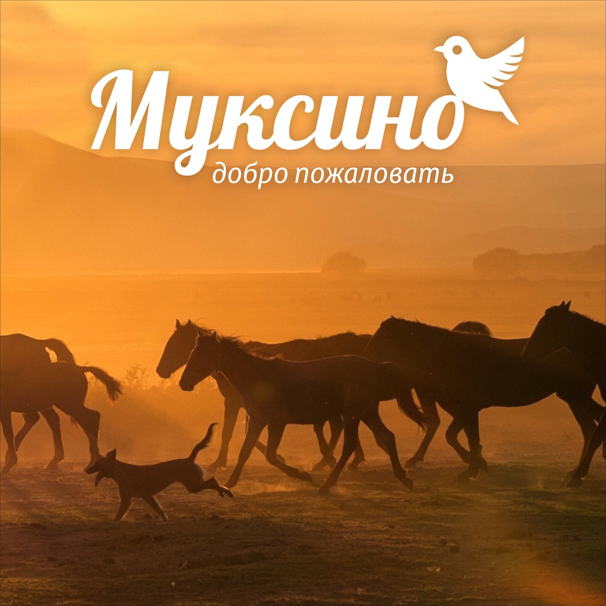 Разработка логотипа для татарской деревни Муксино